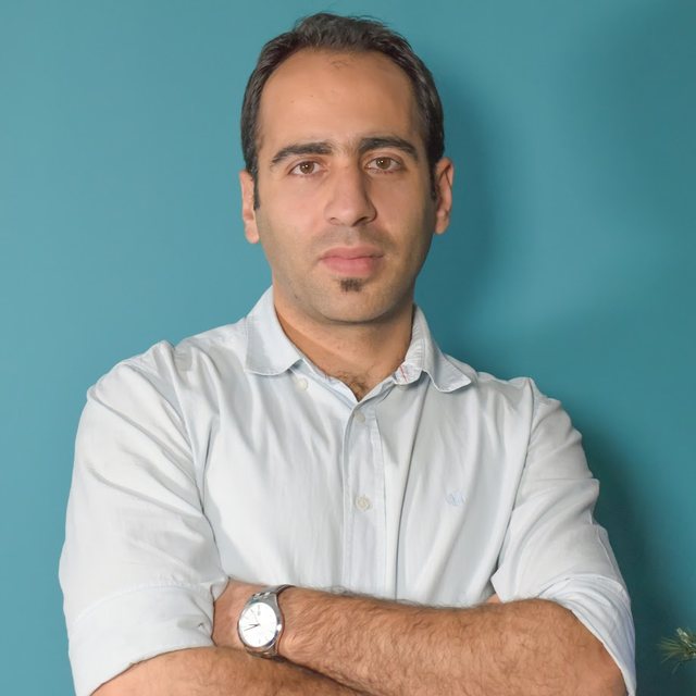 Navid AminAghaee